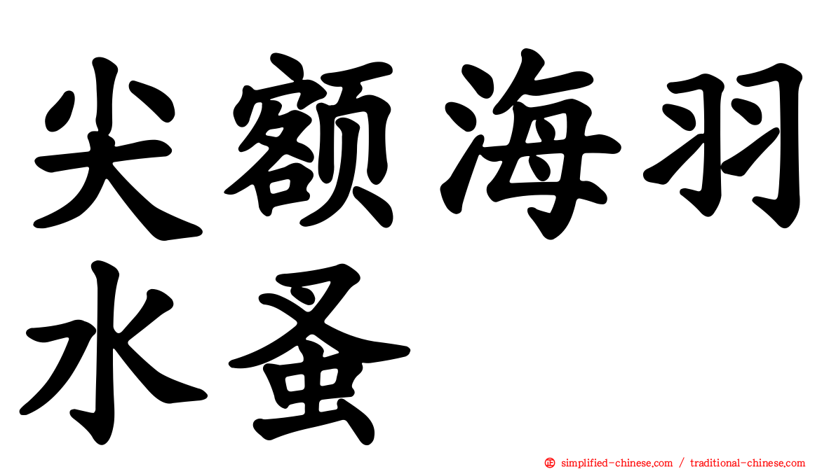尖额海羽水蚤