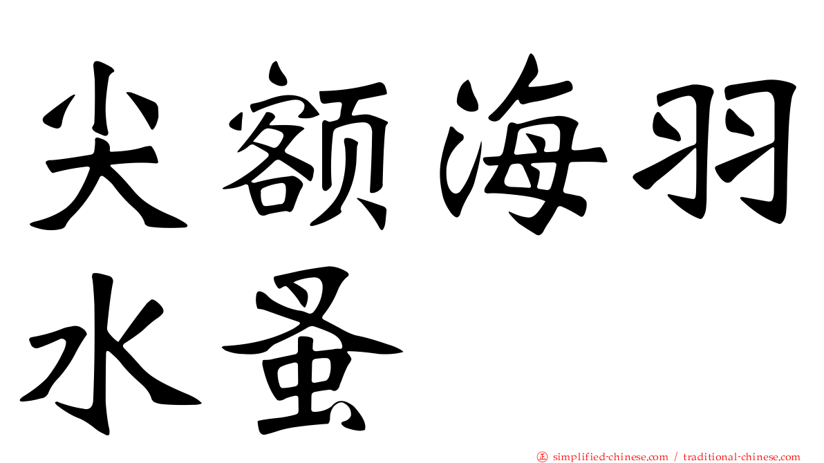 尖额海羽水蚤