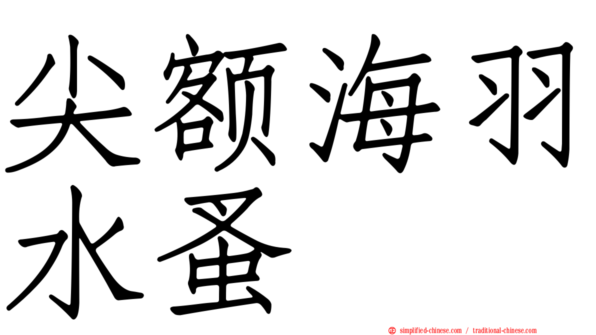尖额海羽水蚤