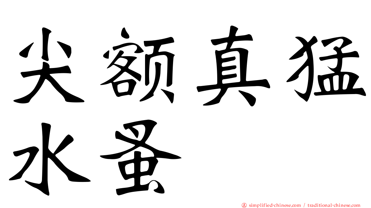 尖额真猛水蚤