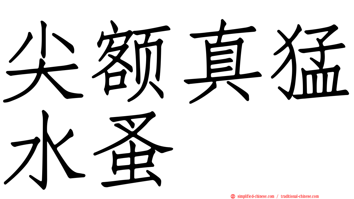 尖额真猛水蚤