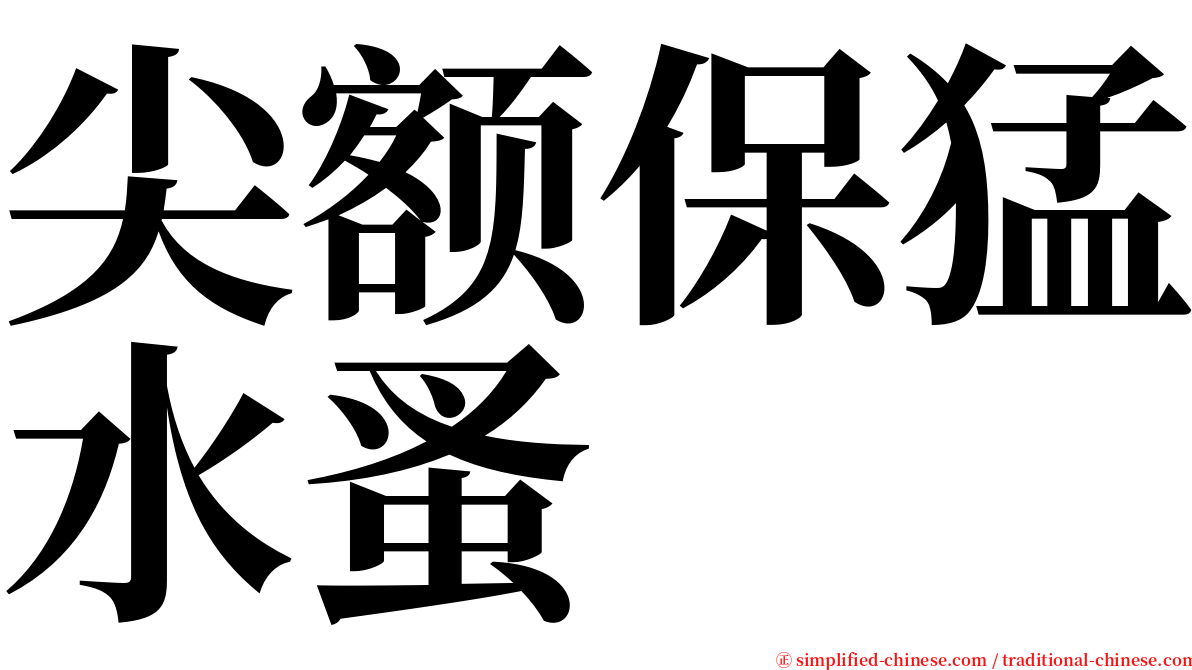 尖额保猛水蚤 serif font