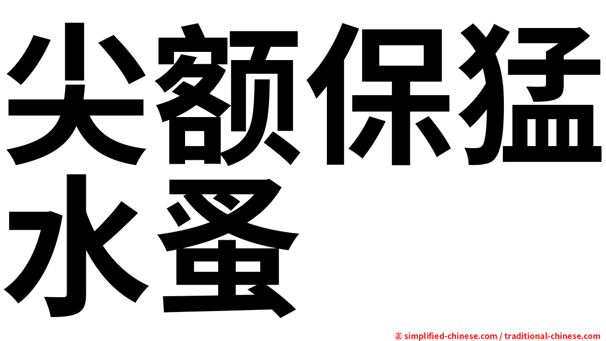尖额保猛水蚤