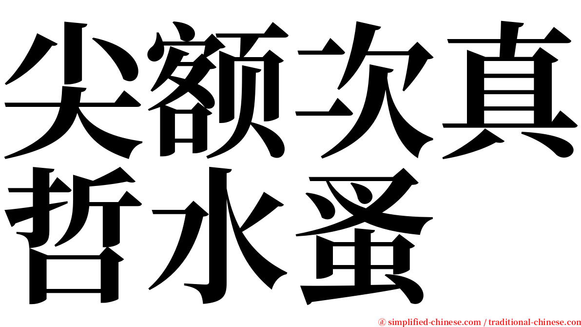尖额次真哲水蚤 serif font