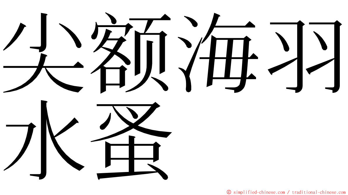 尖额海羽水蚤 ming font