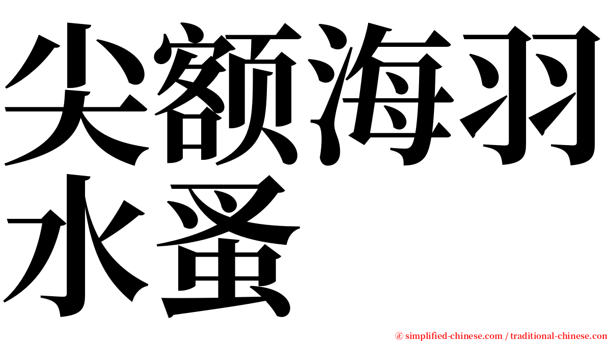 尖额海羽水蚤 serif font