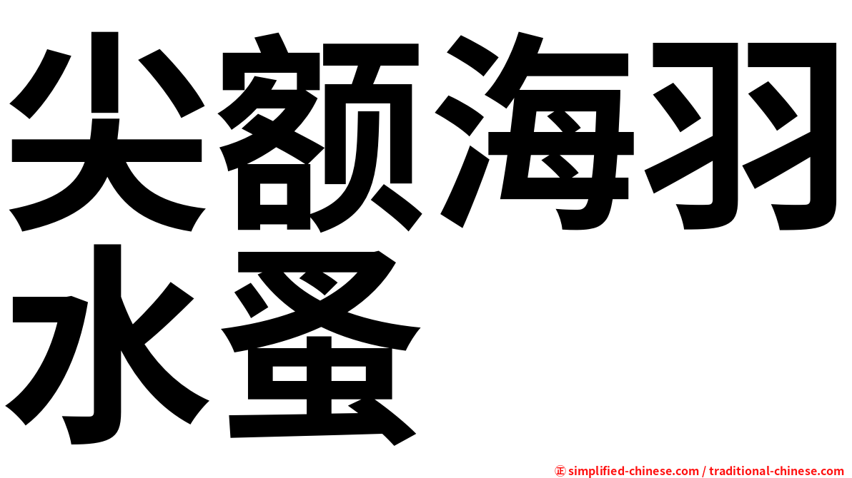 尖额海羽水蚤