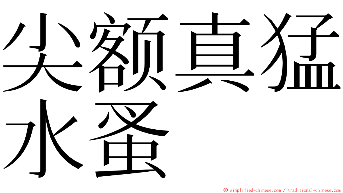 尖额真猛水蚤 ming font