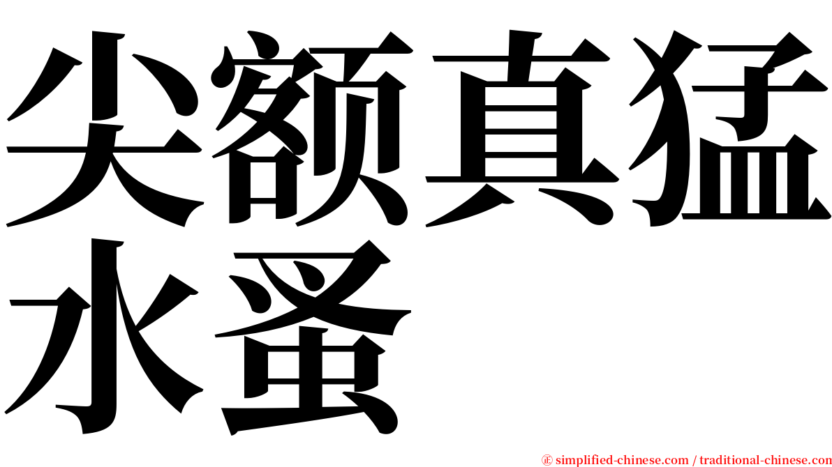 尖额真猛水蚤 serif font