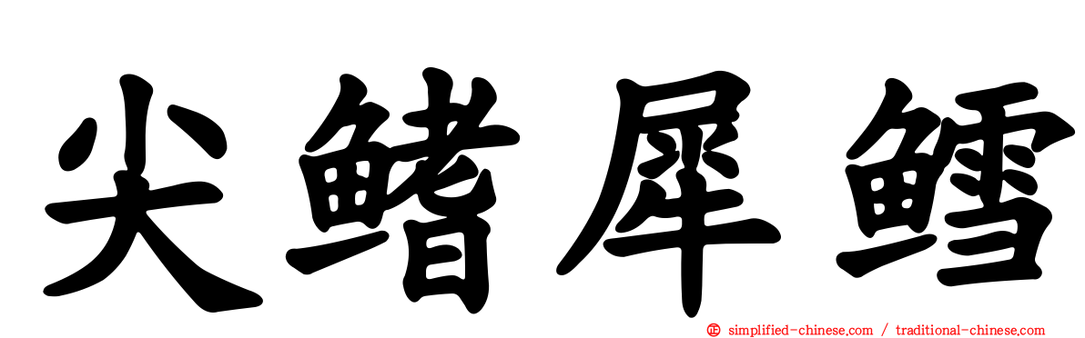 尖鳍犀鳕