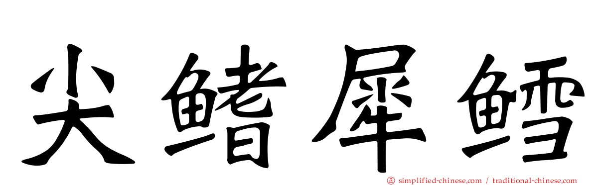 尖鳍犀鳕