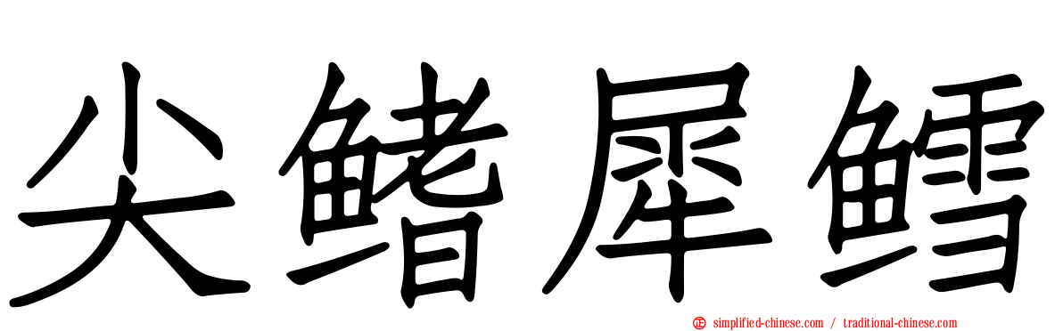尖鳍犀鳕