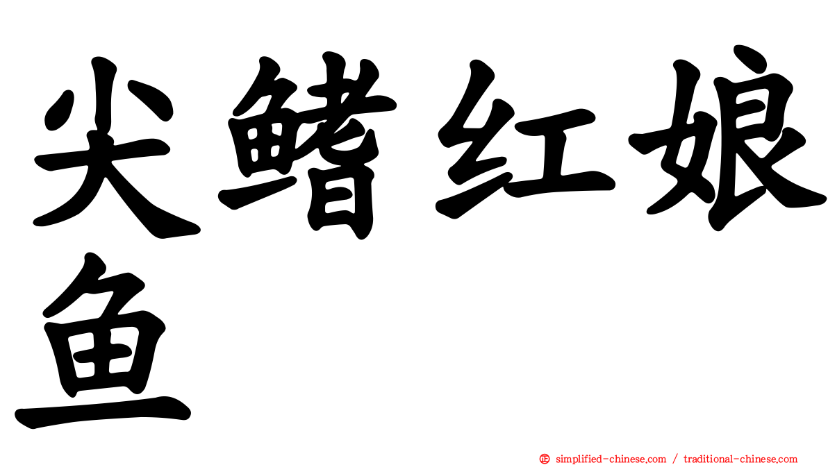 尖鳍红娘鱼