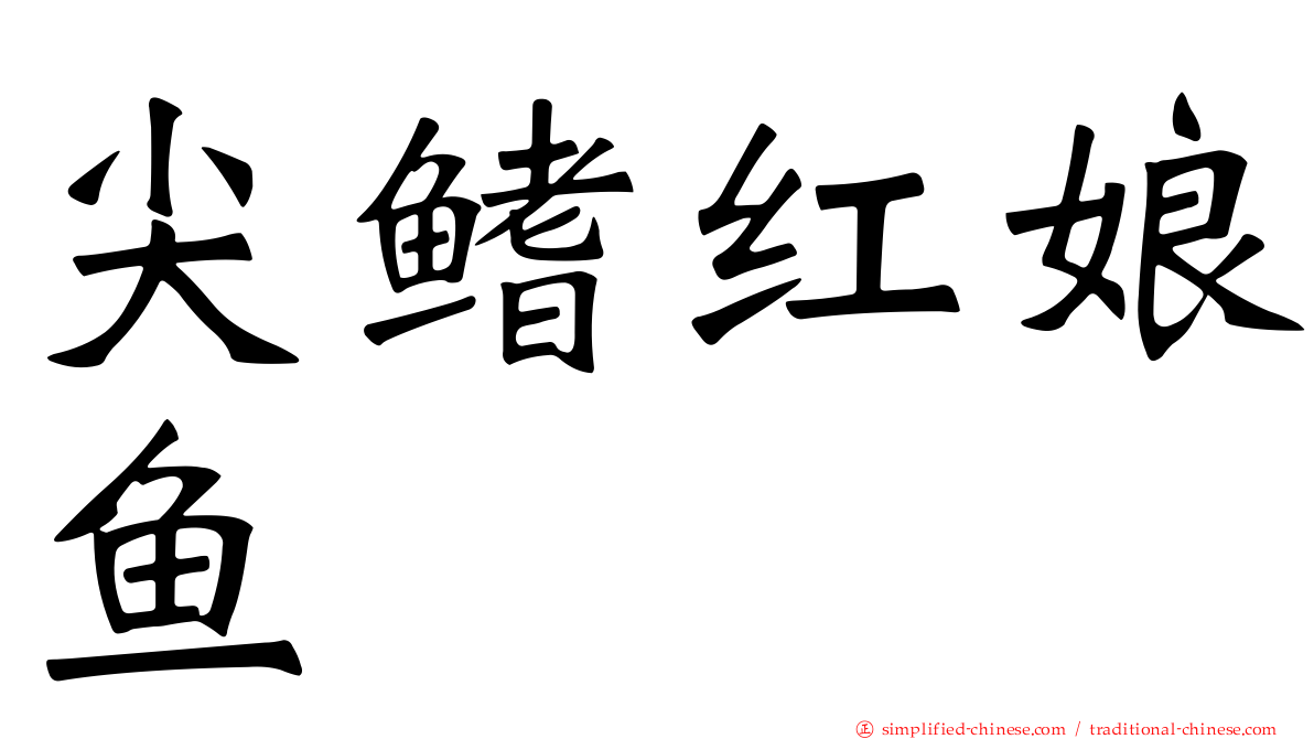 尖鳍红娘鱼