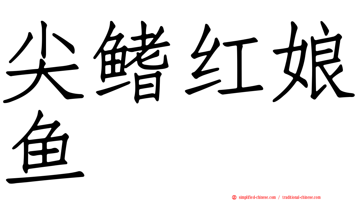 尖鳍红娘鱼