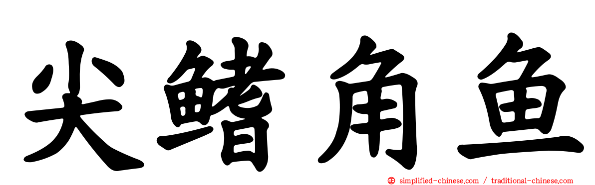 尖鳍角鱼