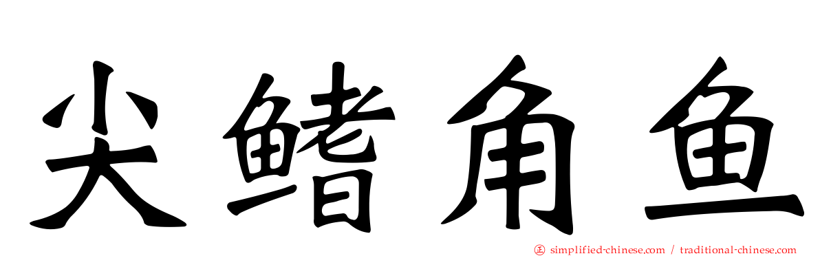 尖鳍角鱼