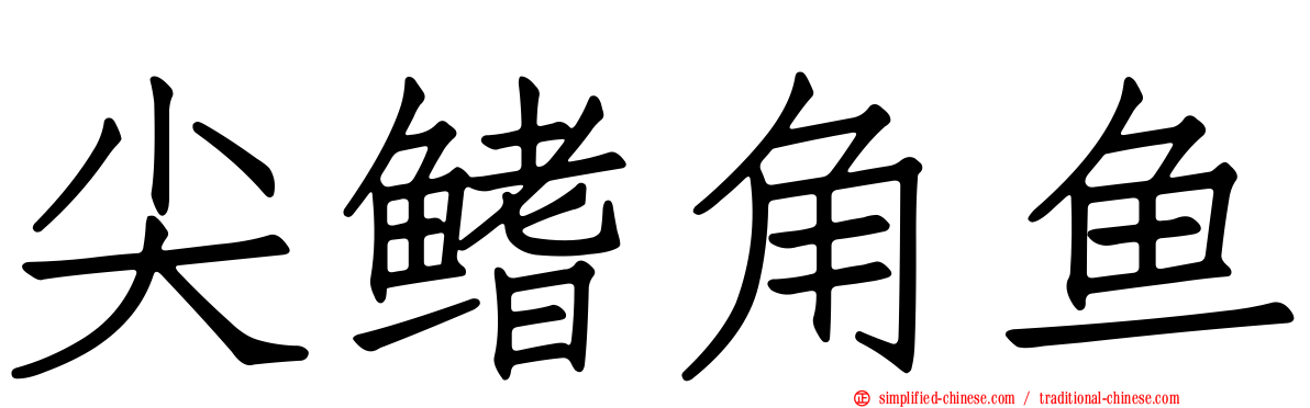 尖鳍角鱼