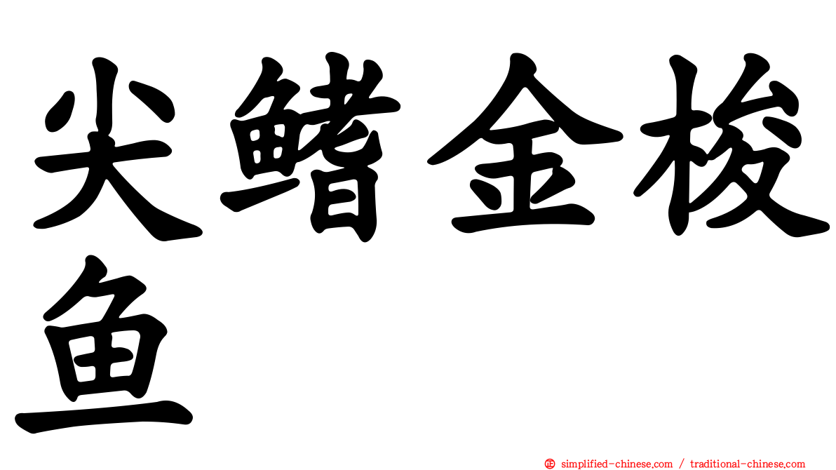 尖鳍金梭鱼