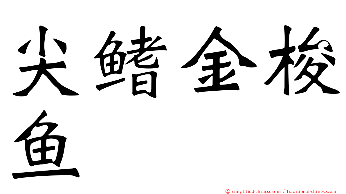 尖鳍金梭鱼