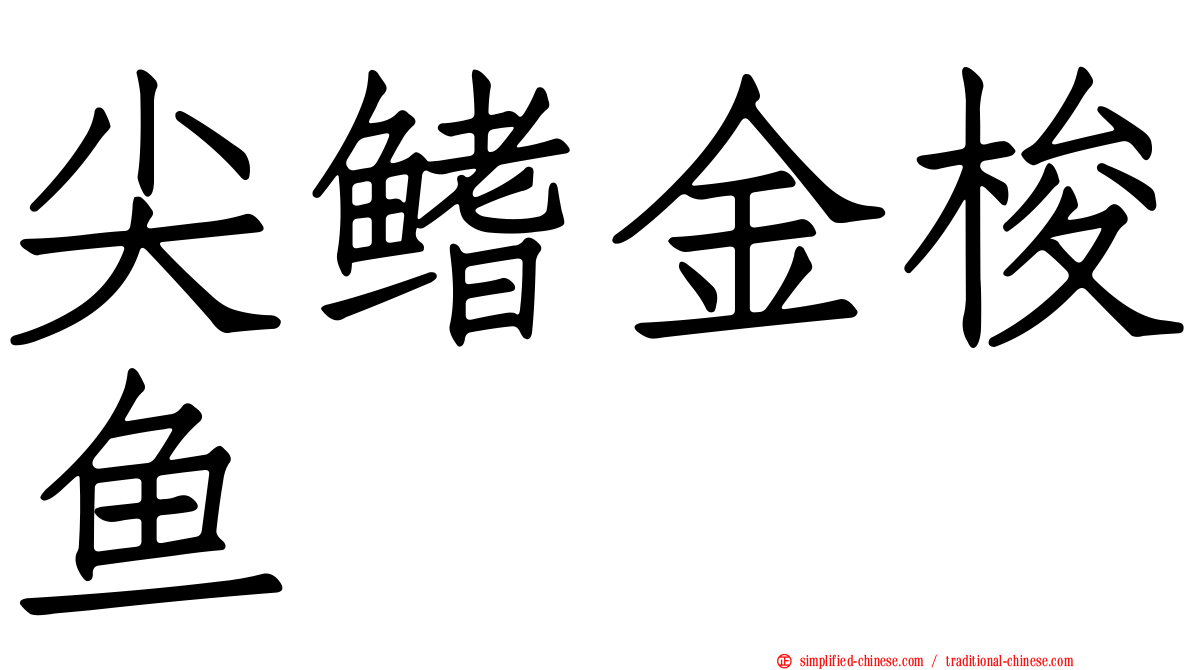 尖鳍金梭鱼