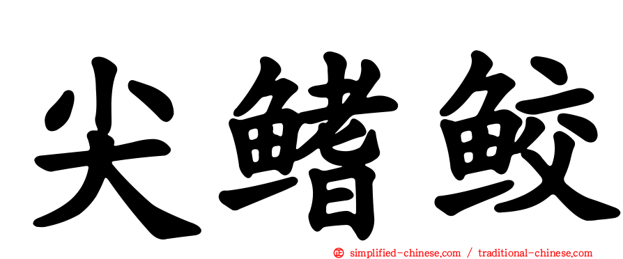 尖鳍鲛