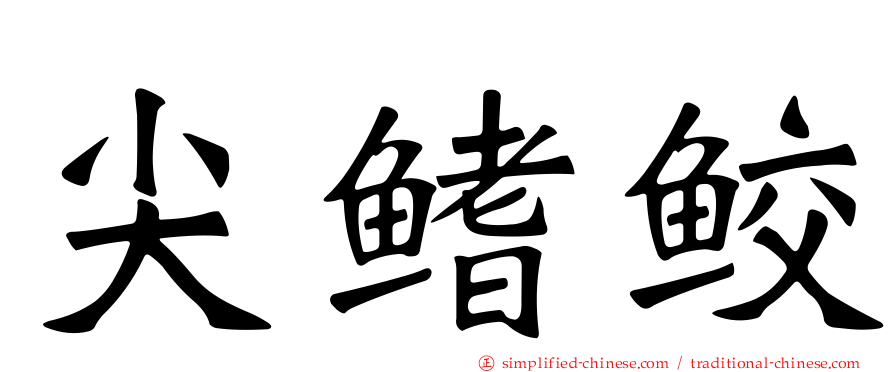 尖鳍鲛