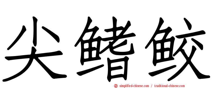 尖鳍鲛