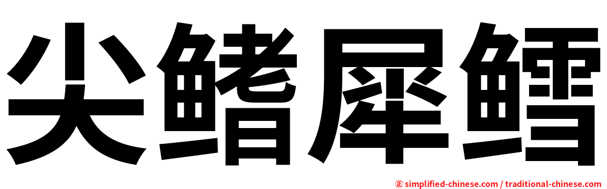 尖鳍犀鳕
