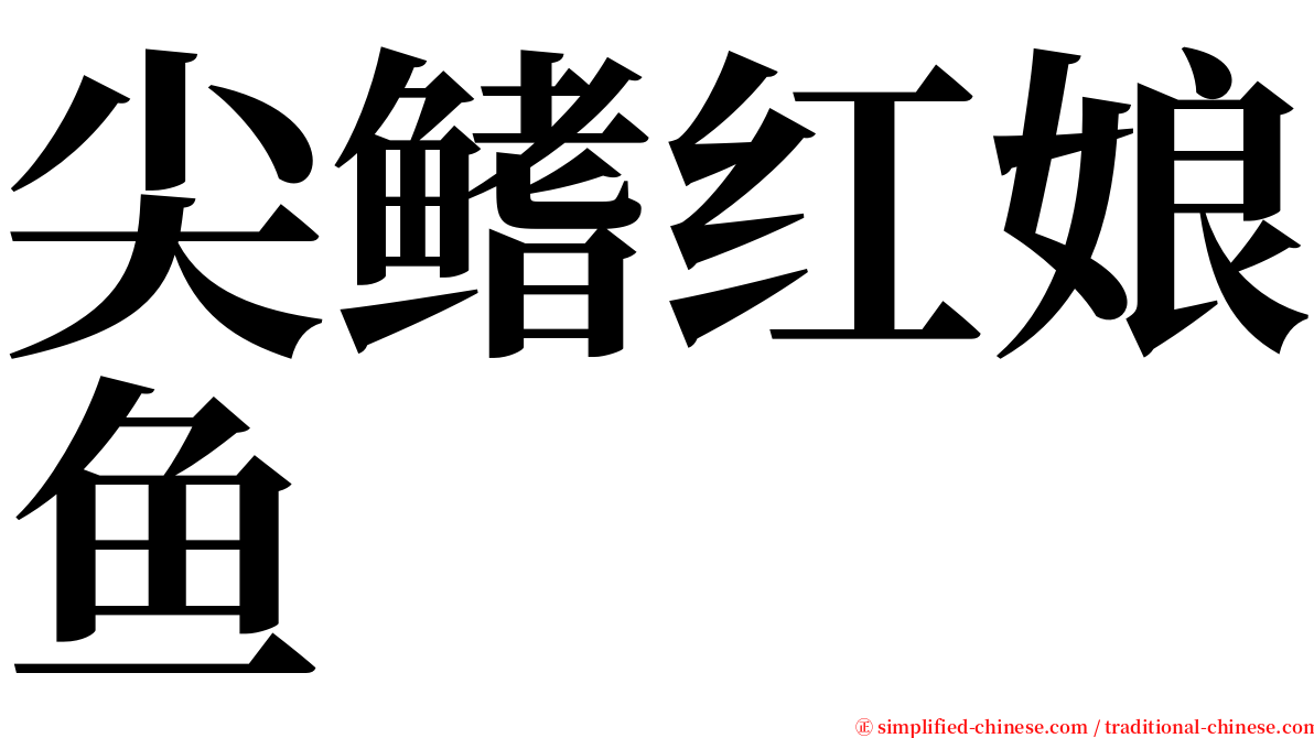 尖鳍红娘鱼 serif font