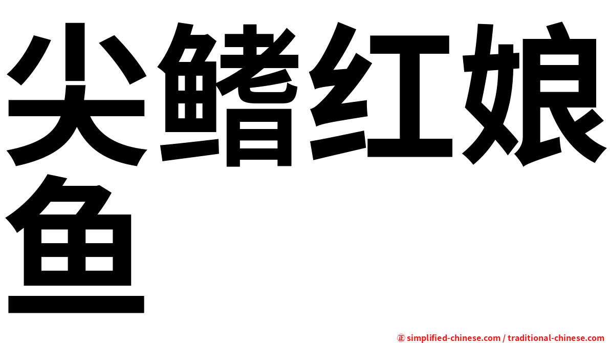 尖鳍红娘鱼
