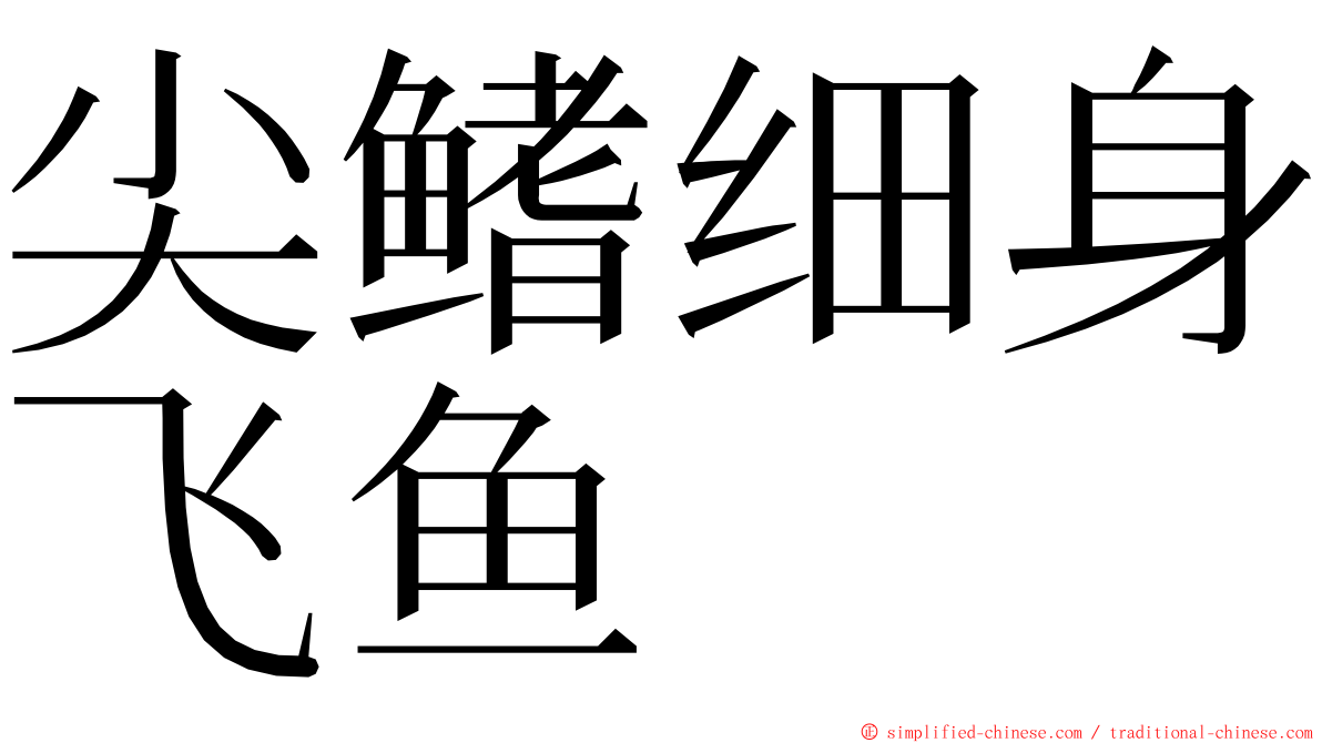 尖鳍细身飞鱼 ming font