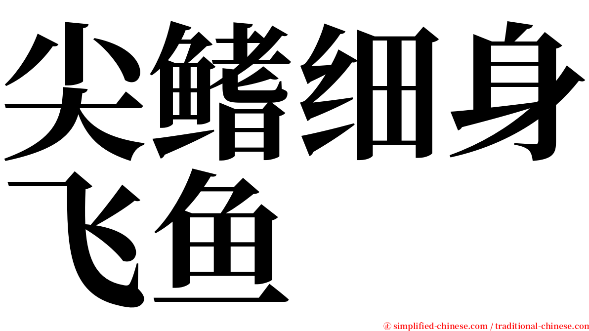 尖鳍细身飞鱼 serif font