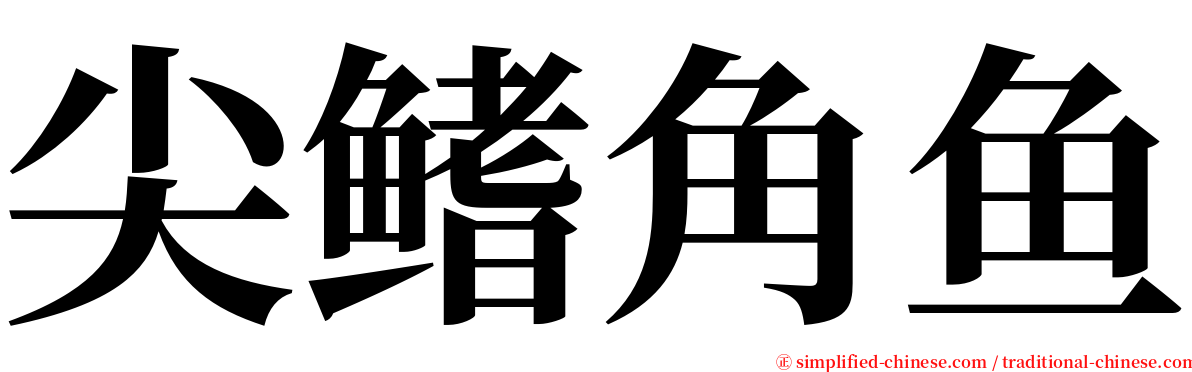 尖鳍角鱼 serif font