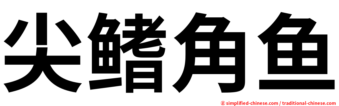尖鳍角鱼