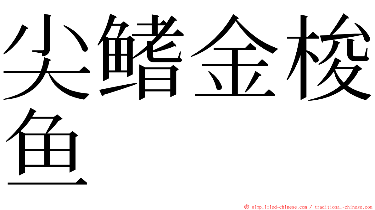 尖鳍金梭鱼 ming font
