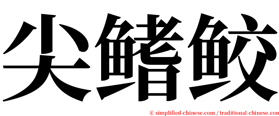尖鳍鲛 serif font