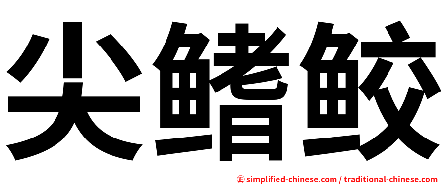 尖鳍鲛