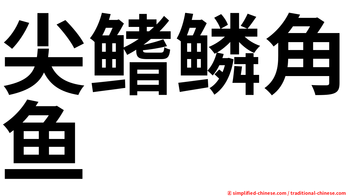 尖鳍鳞角鱼