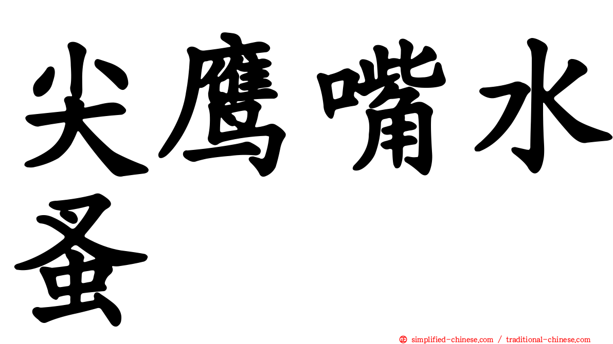 尖鹰嘴水蚤
