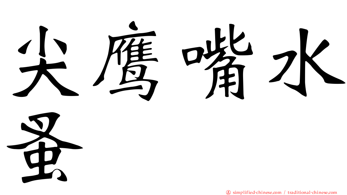 尖鹰嘴水蚤
