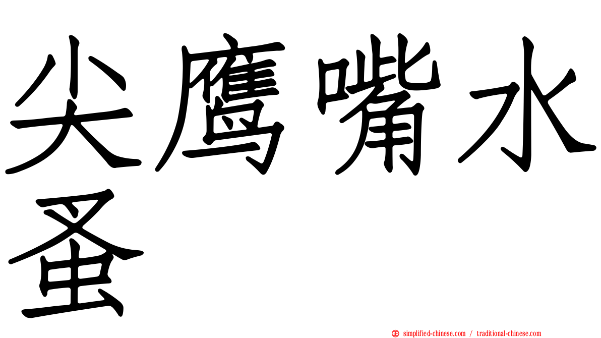 尖鹰嘴水蚤