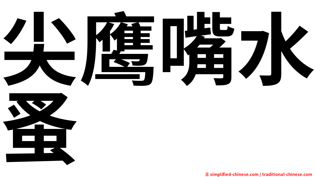 尖鹰嘴水蚤