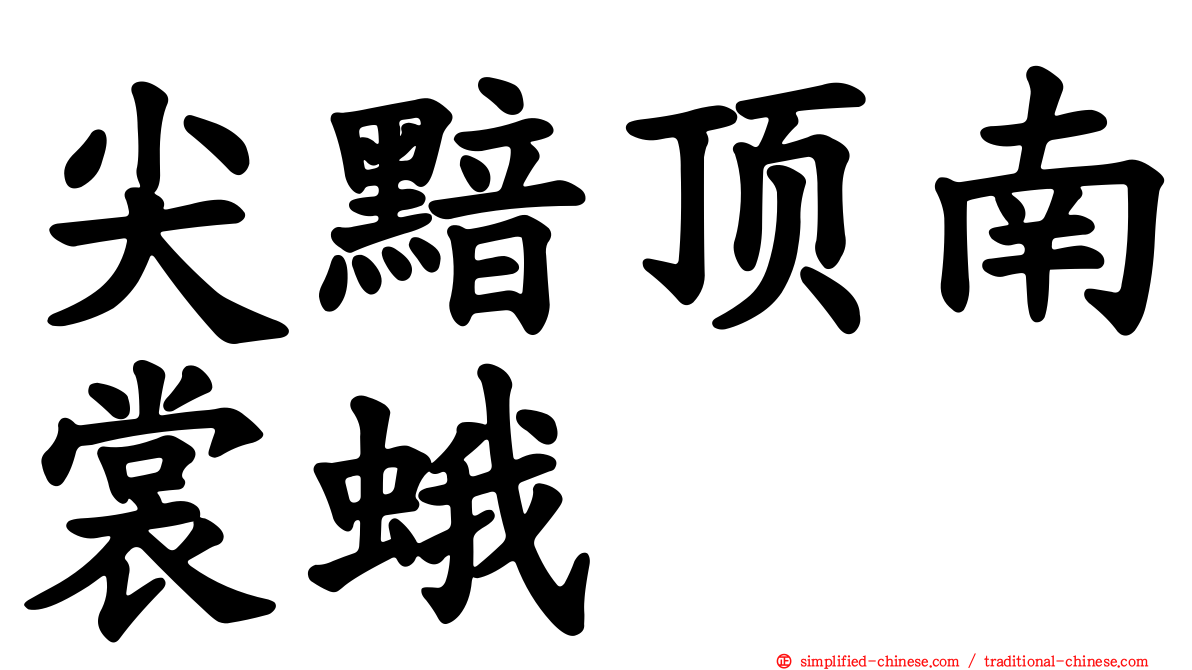 尖黯顶南裳蛾