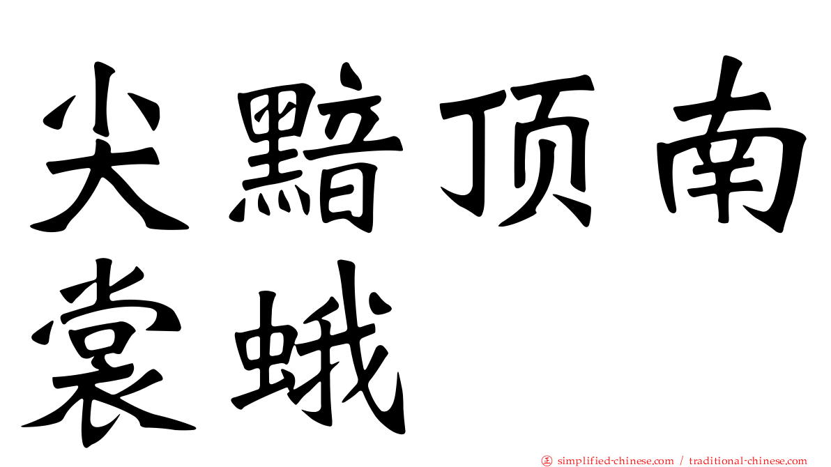 尖黯顶南裳蛾