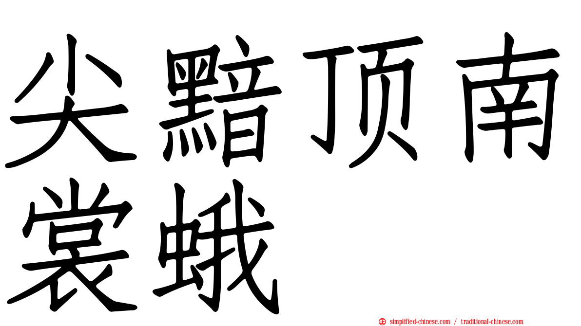 尖黯顶南裳蛾