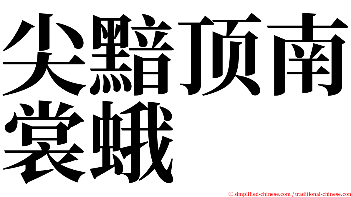 尖黯顶南裳蛾 serif font