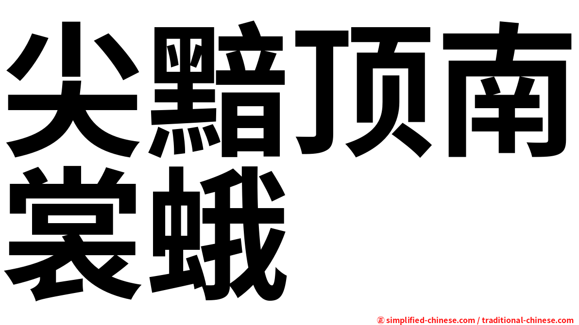 尖黯顶南裳蛾