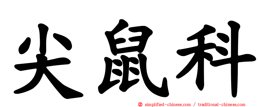 尖鼠科