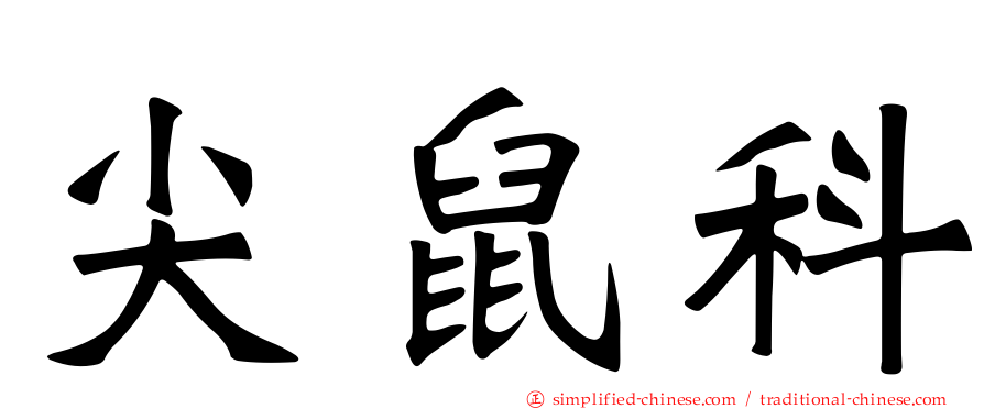 尖鼠科